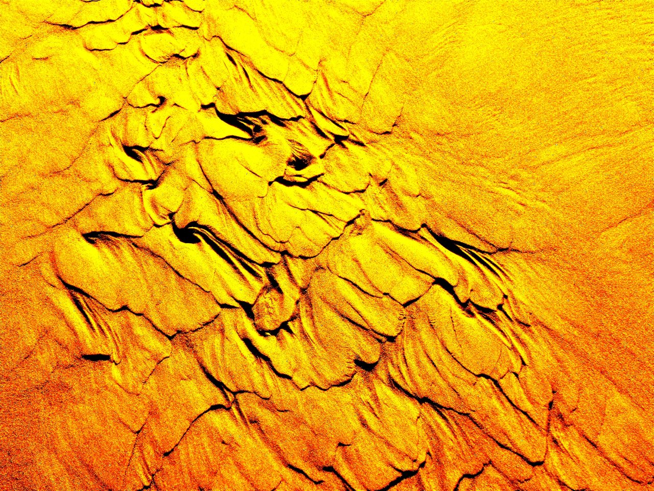 Close-up of golden sand on a beach