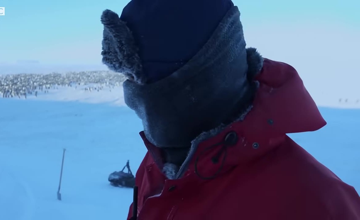 Emperor penguin colony on the ice with a film crew in the foreground
