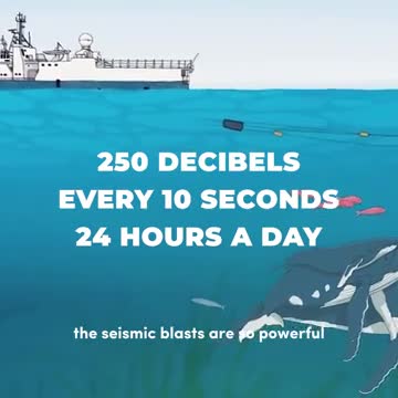 A ship towing a seismic sound source above a whale.