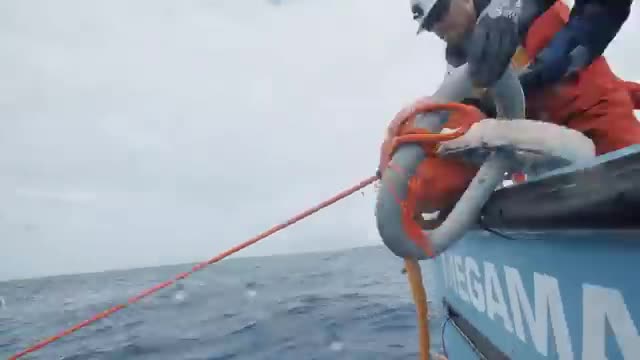 Crew handling a line from a cleanup vessel.