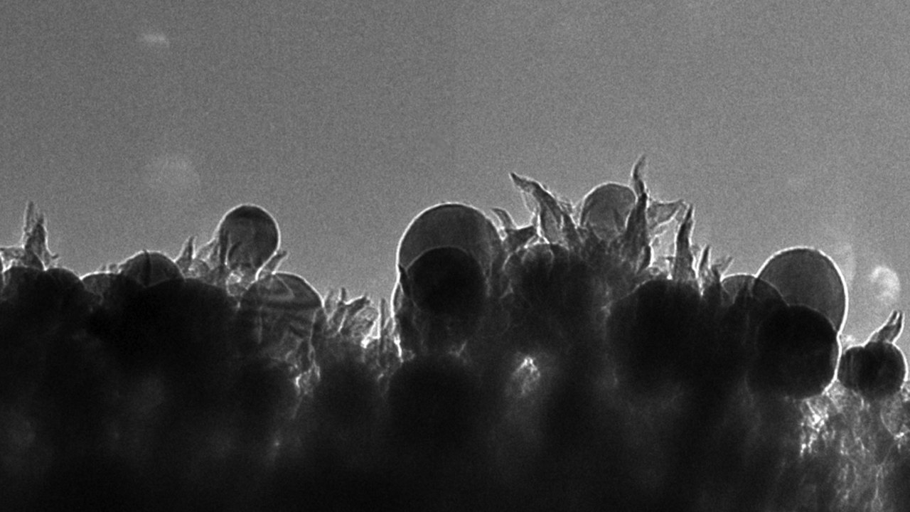 Electron micrograph of round copper nanoparticles sitting among jagged carbon nanospikes.