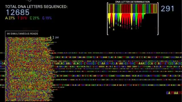 A screen of DNA sequence reads.