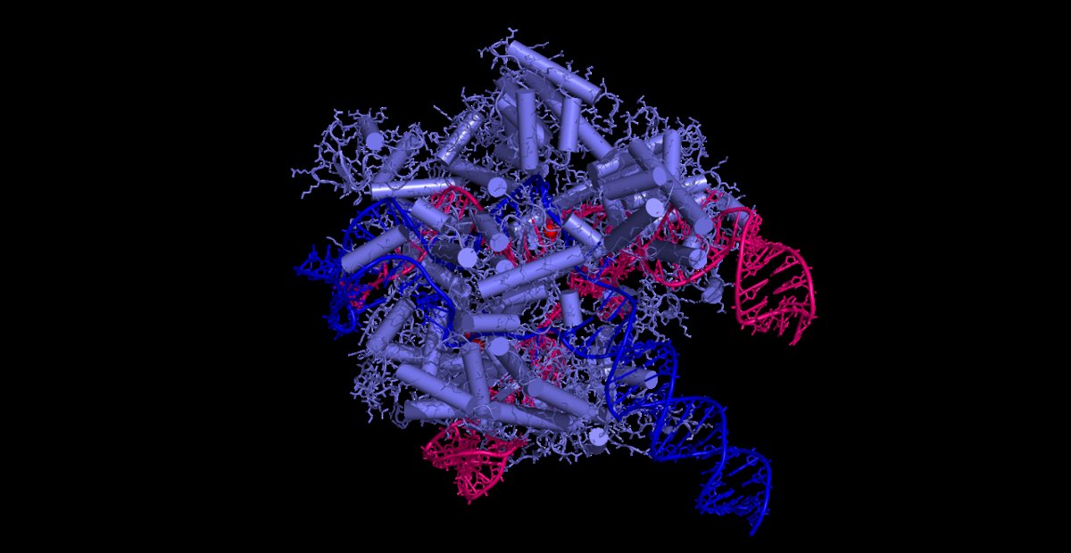 Diagram of CRISPR-Cas9 gene editing