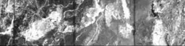 Radar image of pale river channels under Saharan sand.