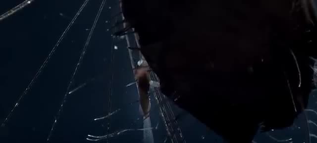 A deep-sea anglerfish with a much smaller male attached