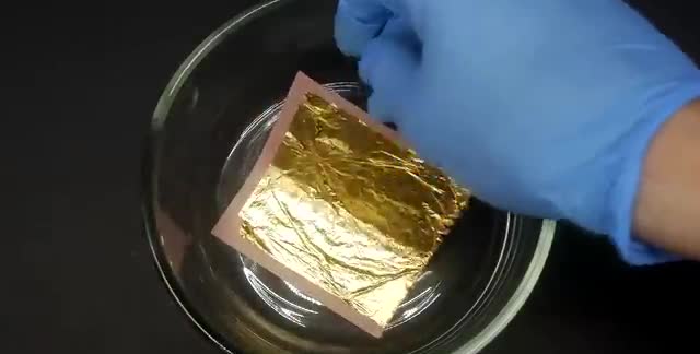 A gloved hand lowering gold leaf onto liquid mercury in a glass dish