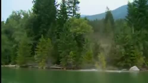 A slide of earth and trees entering a green lake.