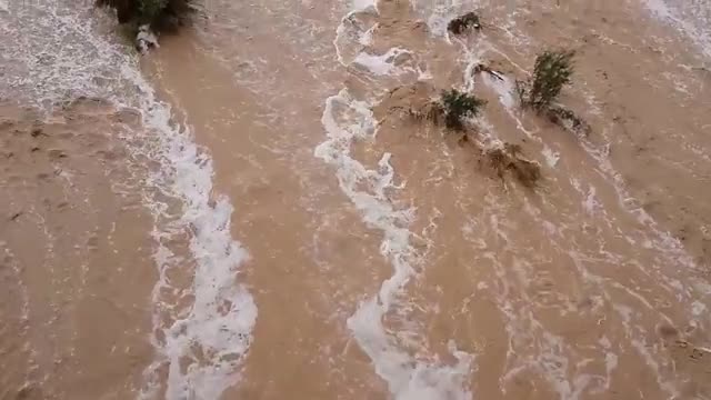Muddy floodwater rushing past shrubs.