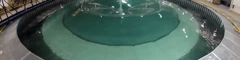 A circular wave tank with rings spreading from a raised spike of water.