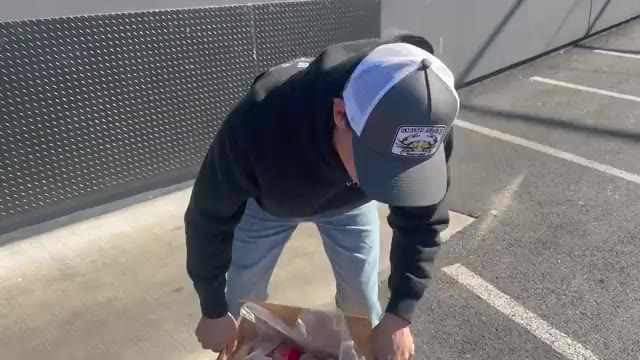 Person opening a cardboard box of live crabs before a flight