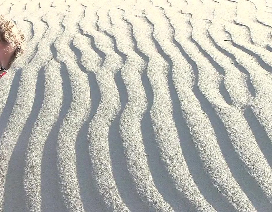 Giant current ripples in sand left by Ice Age outburst floods