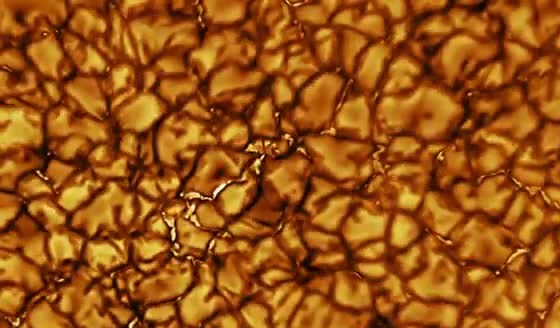 Close-up of the Sun's surface as a field of bright convection granules separated by dark lanes.