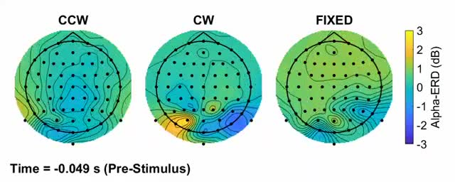 Scalp maps of alpha-wave amplitude under three magnetic-field conditions