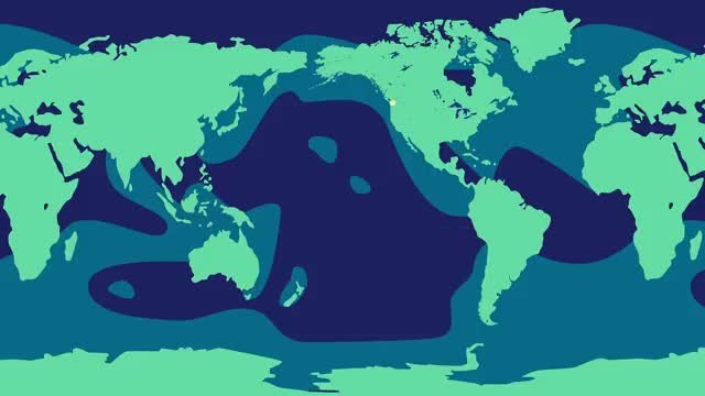 A world map with dark ocean basins and a pale dot in the north Pacific.