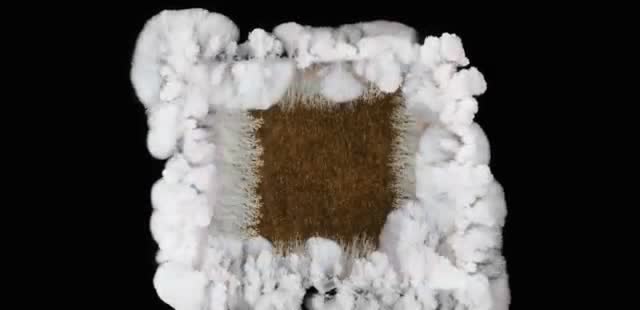 A simulation of needle-like lithium dendrites