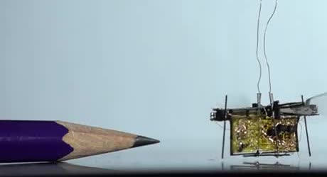A tiny winged circuit next to a pencil.