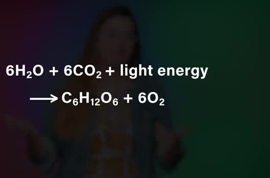 The photosynthesis equation, water and carbon dioxide plus light becoming glucose and oxygen.