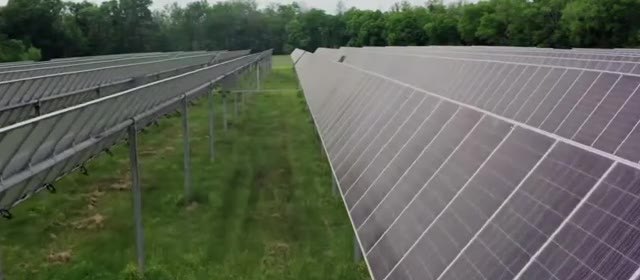 Rows of solar panels in a green field