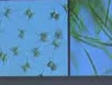 Green algal cells and filaments seen under a microscope