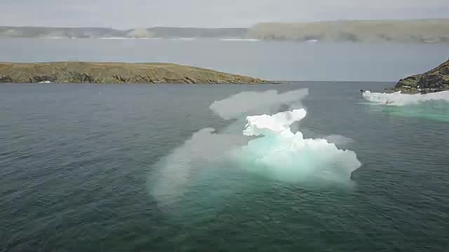A turquoise iceberg floating near a rocky Newfoundland shore.