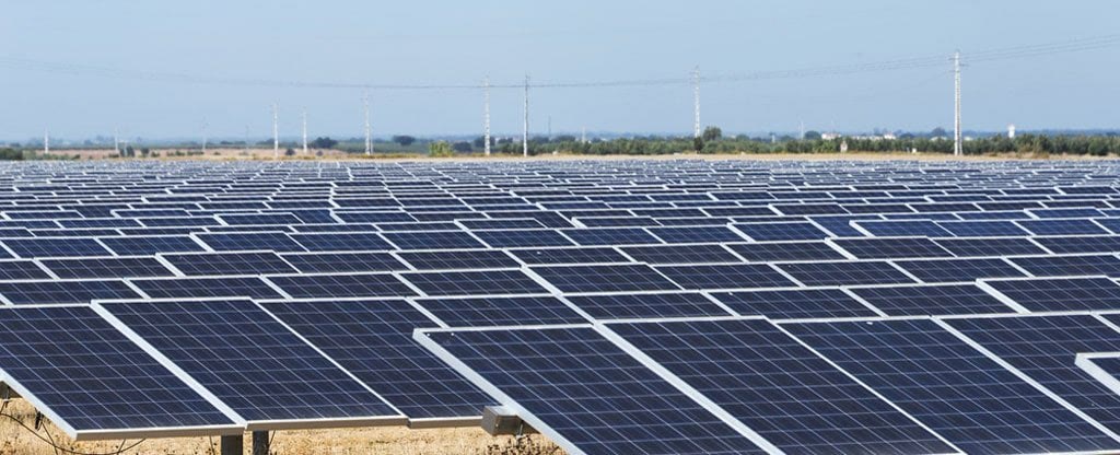 Rows of dark solar panels stretching toward a distant tree line.