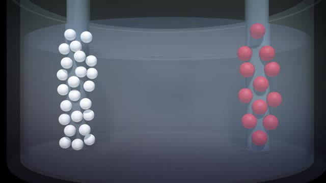 Gas bubbles rising on electrodes in a seawater electrolysis cell