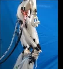 A robot leg of white fiber bundles against a blue backdrop.