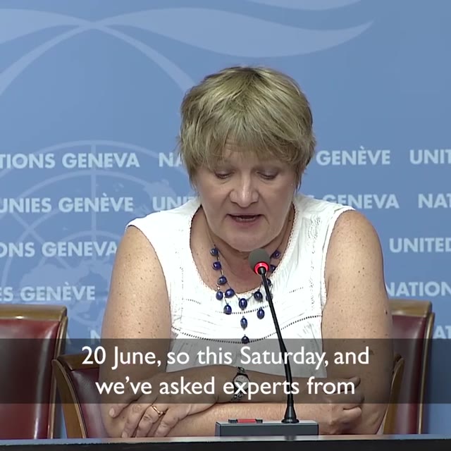Speaker at a United Nations briefing on a record Arctic temperature