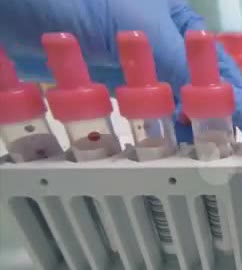 Gloved hands placing capped sample tubes in a rack