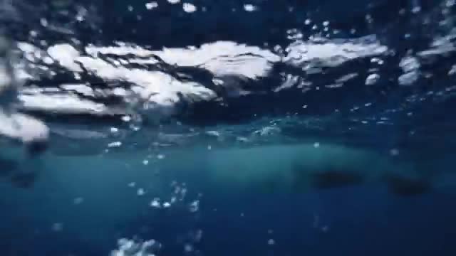 Sunlight on the sea surface seen from underwater.