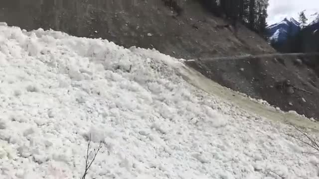 A slope buried under the debris of a large avalanche