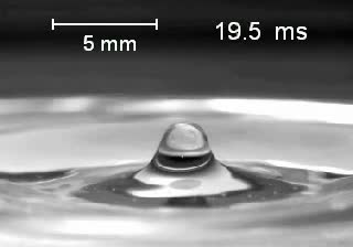 A droplet rising from a bursting bubble.