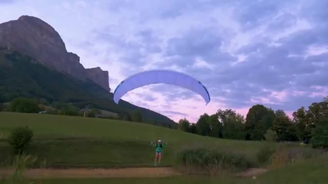 A very light wing overhead in a mountain meadow.