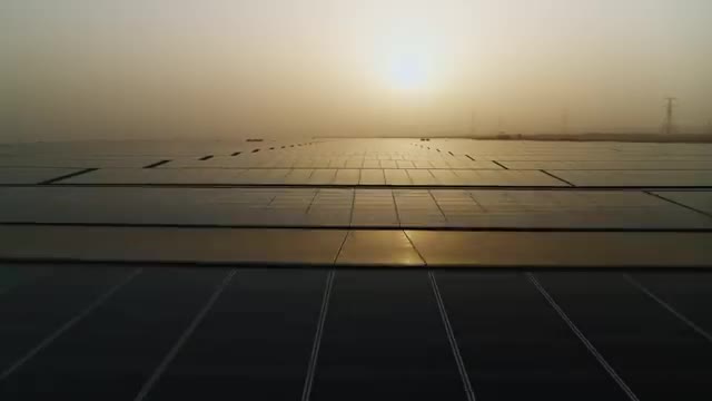 Rows of solar panels at the Noor Abu Dhabi plant in low sun