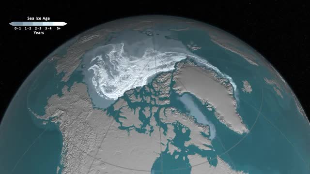 Arctic sea ice coloured by age, with multi-year ice in white