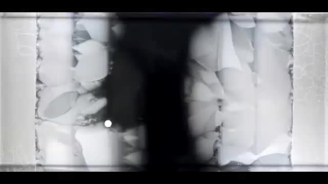 Bacteria spreading across a large petri dish.