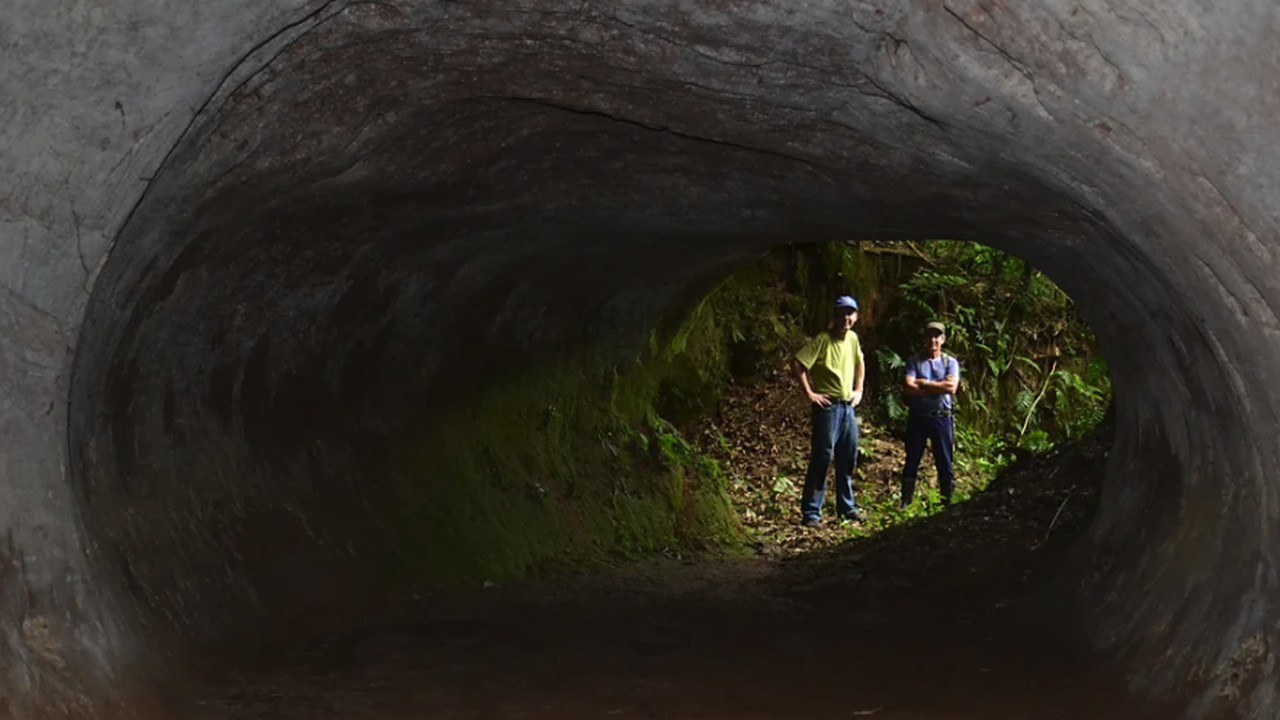 Looking out from a giant ground sloth paleoburrow tunnel in Brazil, two people at the bright forest exit for scale