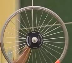Hands hold a bicycle wheel by its hub.