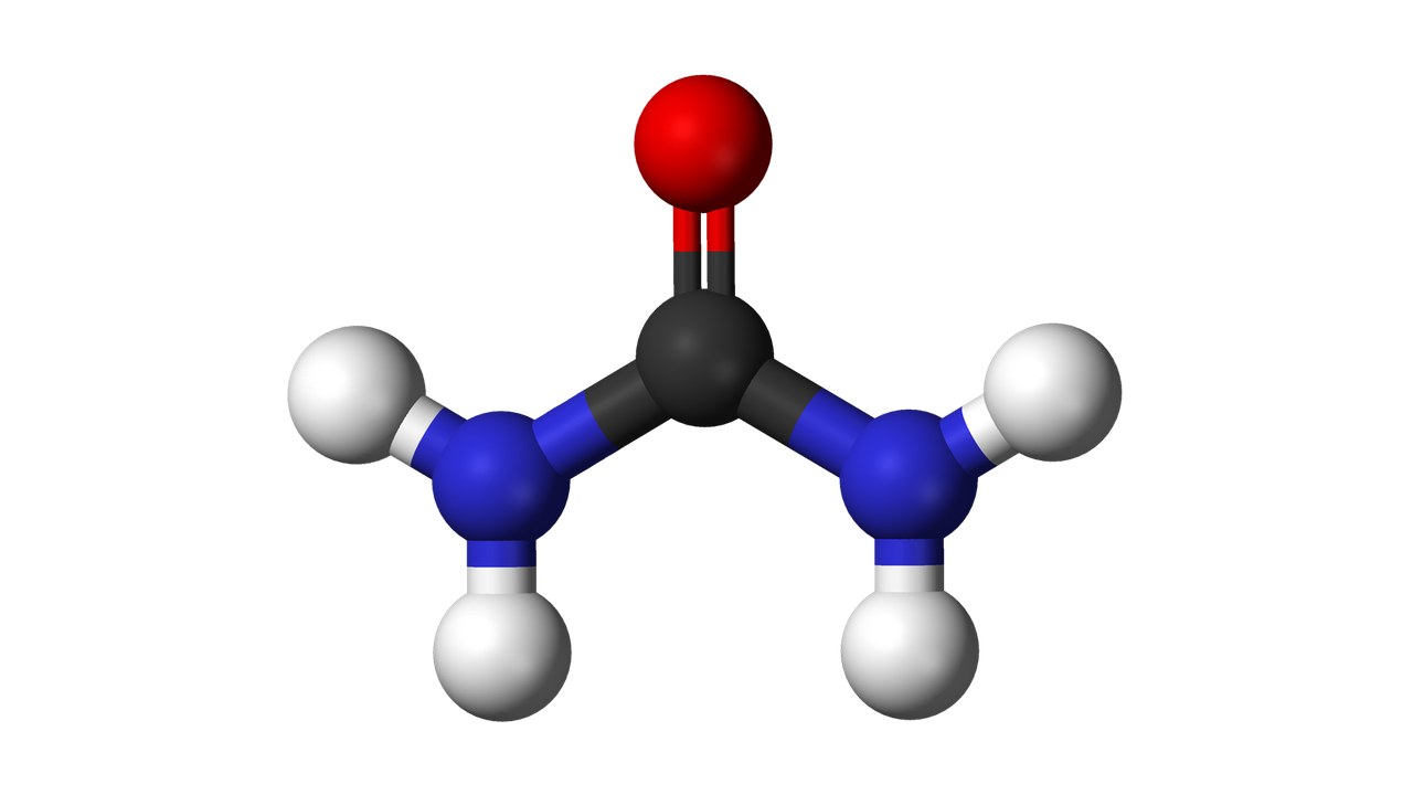 Ball-and-stick model of the urea molecule