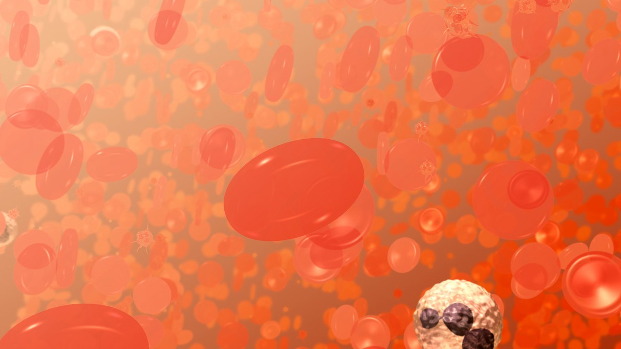 Illustration of red blood cells flowing through a blood vessel