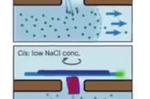 A diagram of a DNA origami rotor sitting in a membrane between two salt solutions