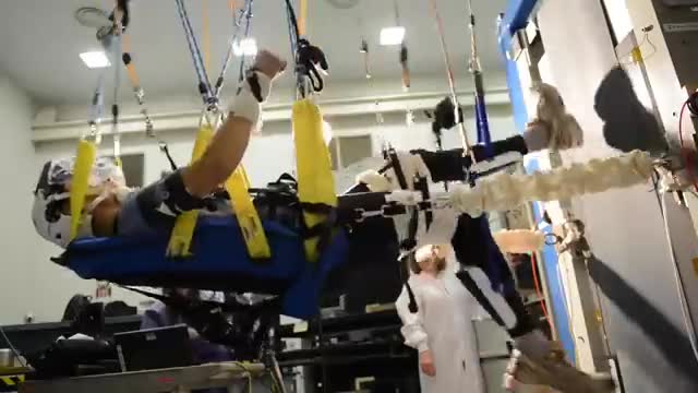 An astronaut in a harness during a training exercise.