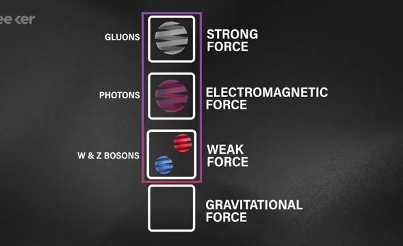 Diagram of force-carrying particles with an empty box for gravity