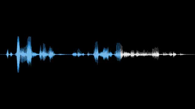 A blue and white audio waveform on black