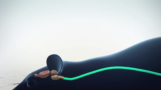 A glowing nerve running from a mouse gut toward its brain.