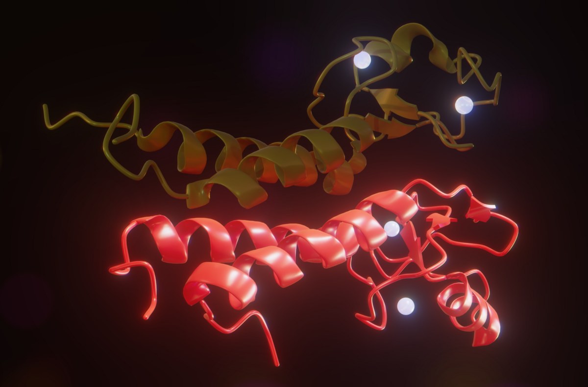 Structure of part of the BRCA1 protein
